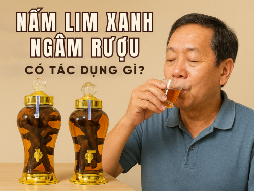 Rượu nấm Lim Xanh có tác dụng gì? Khác biệt so với rượu thường ở điểm nào?